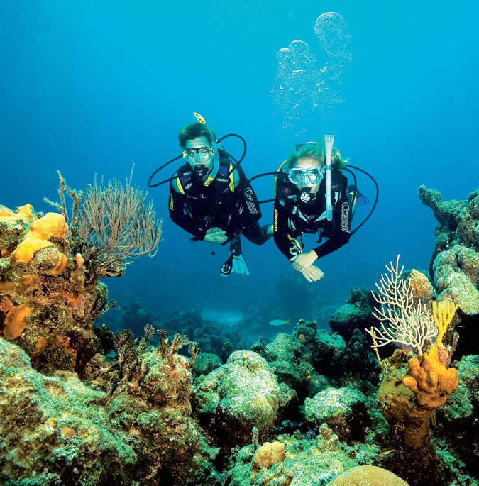 Two scuba divers swimming over and exploring a coral reef.